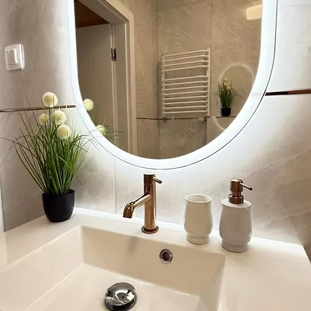 Garbary Soul 40 포즈난