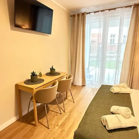 Garbary Soul 40 * 포즈난